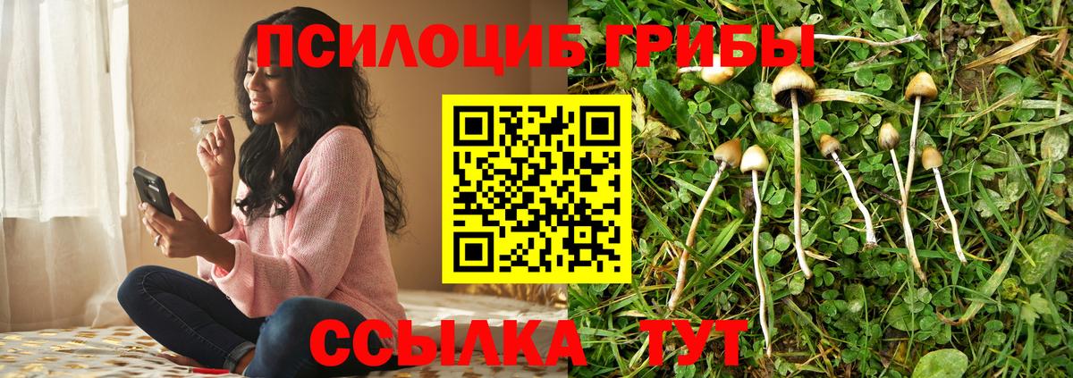 Галлюциногенные грибы Cubensis  Вход с VPN  Псилоцибиновые грибы Psilocybe  даркнет сайт  Заинск 