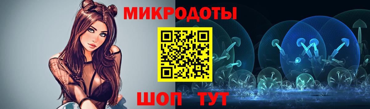 Галлюциногенные грибы Psilocybe Заинск
